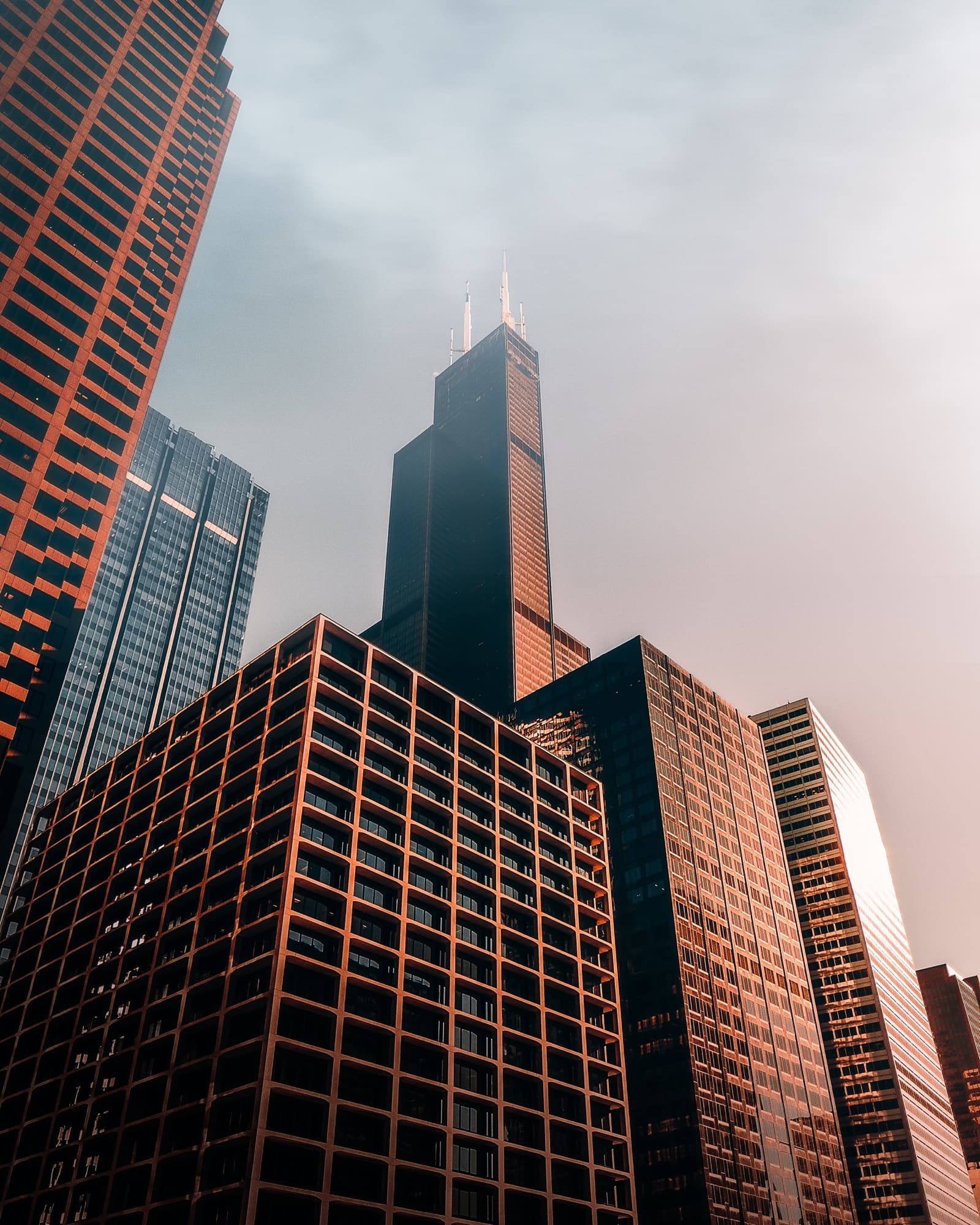 Tall brown skyscrapers